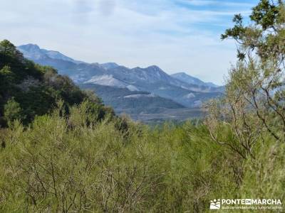 Montaña palentina;viajes puente noviembre actividades aire libre visitas cerca de madrid
